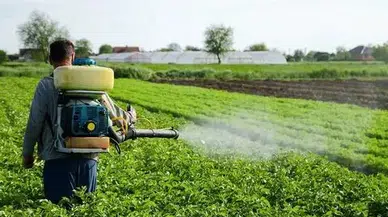 Pestisitler için alarm veren araştırma: Her yıl 400 milyondan fazla çiftçi zehirleniyor