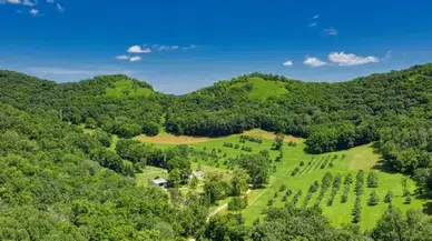 2B arazilerinde tapu umudu yeniden doğdu: Başvuru kaçıranlara ek süre geliyor