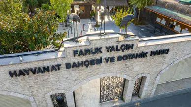 Darıca Faruk Yalçın Hayvanat Bahçesi kapandı mı?