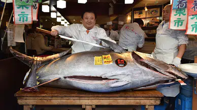 Tokyo'da tarihin en pahalı orkinosu alıcı buldu: 2,8 milyon Euro’luk rekor satış!