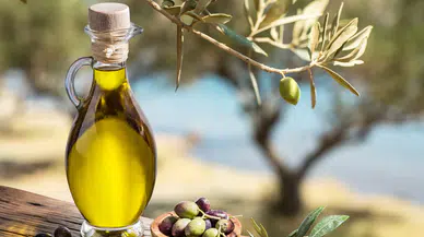 Türkiye zeytinyağı üretiminde dünyada ikinci sıraya yükseldi