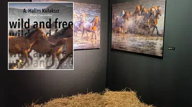 Halim Kulaksız’ın “wild and free” sergisi 8 Mart’a kadar gezilebilecek