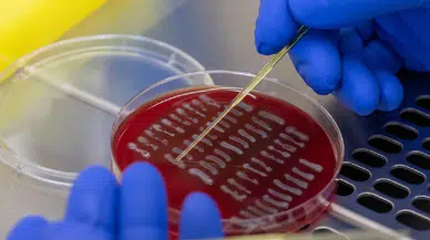 Bağırsaklar alkol üretiyor: İçmeden sarhoş eden “otomatik bira üretme sendromu”