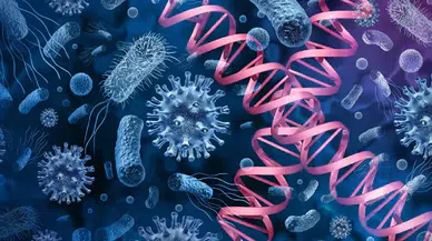 Sessiz pandemi kapıda: Candida auris dünyayı alarma geçirdi