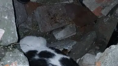 Zonguldak'taki acı yıkımın ardından gelen mucize: Enkaz altından sağ çıktı