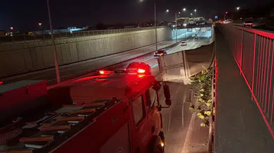 Eskişehir'de kediye çarpmamak için direksiyon kırdı: Tonlarca marul yola saçıldı