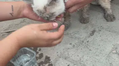 Maltepe'deki yıkımda mucize kurtuluş: Beton yığınlarının arasından sağ çıktı