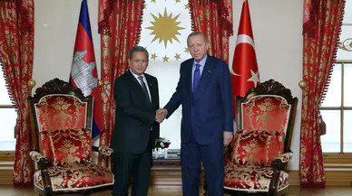 Dolmabahçe'de kritik diplomasi trafiği: Erdoğan ve Manet bir araya geldi