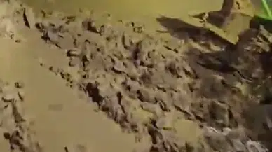 Yenişehir'de sağanak felaketi: Mevsimlik işçilerin yaşam alanı sular altında kaldı