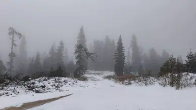 Safranbolu'da mantar mesaisi kar yağışıyla bölündü