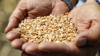 Küresel gıda krizinde çarpıcı tablo: Milyarlarca insan sağlıksız besleniyor