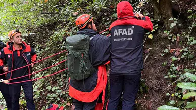 Sapanca'da kestane toplama yolculuğu acı bitti: Ormanda cansız bedeni bulundu