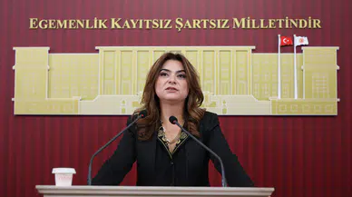 DEM Partili Koçyiğit'ten bütçe tepkisi: Faiz ve güvenlik harcamaları halkı yoksullaştırıyor