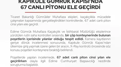 Kapıkule'de şoke eden keşif: Çöp konteynerinden 67 canlı piton çıktı