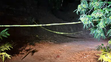 Kestane kavgası kanlı bitti: Eski muhtar tüfekle vuruldu