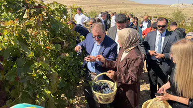 Mustafa Destici memleketinde hasat heyecanı yaşadı: 800 yıllık gelenek sürüyor