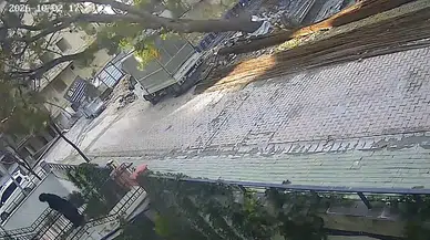 Avcılar'da saniyelerle gelen mucize: Devrilen ağaçtan kıl payı kurtuldu