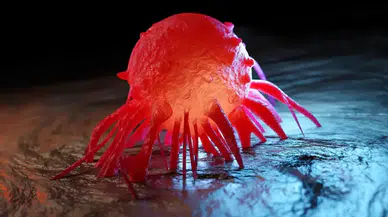 185 ülkeden veri toplandı: Kanserde çarpıcı gerçek ortaya çıktı