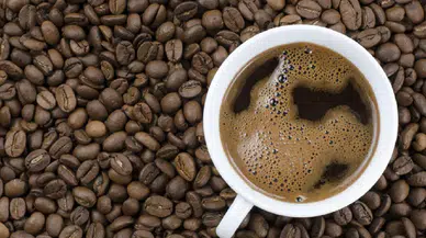 Kahve alarm veriyor: İklim krizi fincanımıza kadar ulaştı