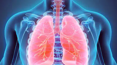 Uzmanından sağlıklı nefes için beslenme uyarısı: Akciğerleri koruyan 10 besin grubu