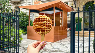 Lacoste’tan sürpriz hamle: Timsah bu kez mutfağa girdi