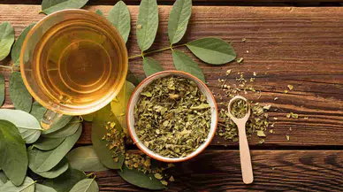 Yeşil çayın faydaları nelerdir? Doğru tüketimle sağlığınızı koruyun