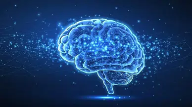 Psikoloji araştırmaları açıkladı: Düşük zekânın en yaygın 4 belirtisi