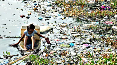 Gine kurdu hastalığı tarihe karışıyor: Dünyada sadece 10 vaka kaldı