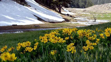 İlk cemre ne zaman düşecek? 2026 cemre düşme tarihleri belli oldu