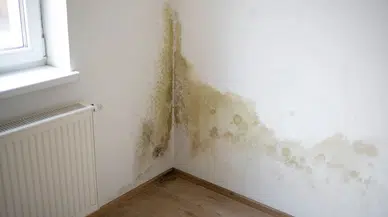Evde küf ve rutubet kokusu nasıl giderilir? Pratik ve kesin çözümler