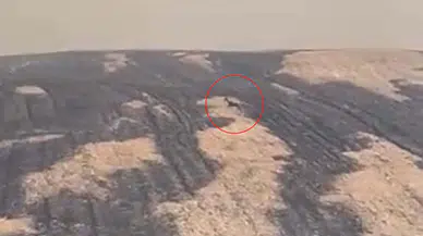 Alevlerin arasından can havliyle kaçtı: Çanakkale’deki yangının acı bilançosu ortaya çıktı