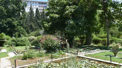 Evlerimizi istila eden böcekler neden artıyor?