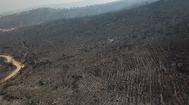 Muğla’da alevlerin bıraktığı acı tablo havadan görüntülendi: Doğanın kalbi griye döndü