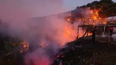 Antalya'da üç günlük kabus: 8 ilçede aynı anda başlayan yangınlar nasıl kontrol altına alındı?