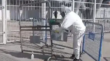 Kayseri'de maç öncesi stadyum çevresinde arı paniği