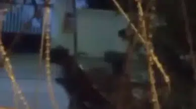 Arnavutköy'de ata şiddet iddiası kamerada