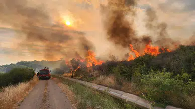 Çanakkale'de orman yangını riskine karşı hasat yasağı