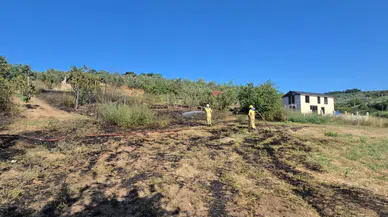 Mudanya’da tarım arazisindeki yangın bağ evlerine ulaşmadı