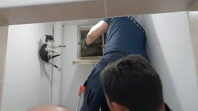Amasya’da kurtarılan kedi itfaiyeyi peşinden koşturdu