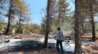 İslahiye'de orman yangını: Ekipler bir saatte söndürdü