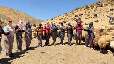 Yüksekova’da Berivanlar yayla kültürünü halaylarla yaşatıyor