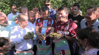 Özgür Özel: Fındık dalında kalıyor, üretici toplamıyor