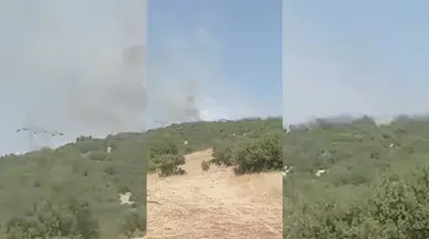Besni ormanlarındaki yangın üç saatte söndürüldü