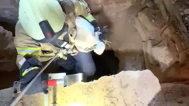 Avcılar’da kuyuya sıkışan leylek merdivenli operasyonla özgürlüğüne kavuştu
