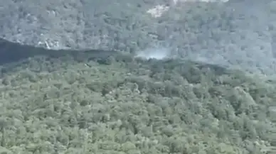 Edremit’te ormanlık alanda alevler yükseldi: Müdahale iki koldan
