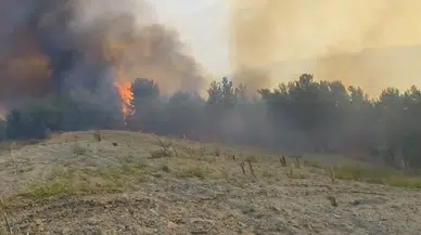 Yeğenoba’daki alevlere hava ve kara araçlarıyla müdahale