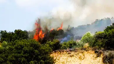 Turgutlu’daki orman yangınında 50 dönüm zarar gördü