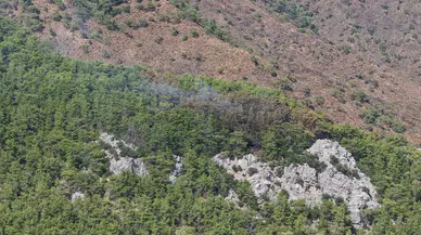 Kemer’deki alevler ekiplerin dört saatlik çalışmasıyla durduruldu
