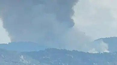 Kuyucak'ta orman yangını: Ekipler havadan ve karadan müdahale ediyor