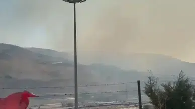 Antakya'da ormanlık alanda alevler yükseldi